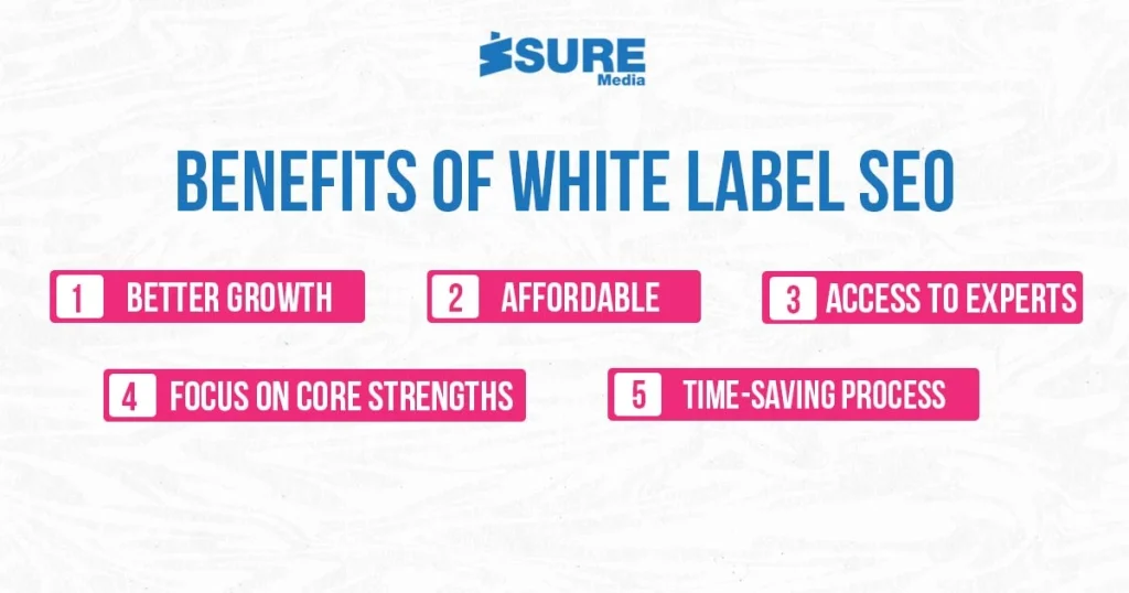 benefits of white label SEO - infographic